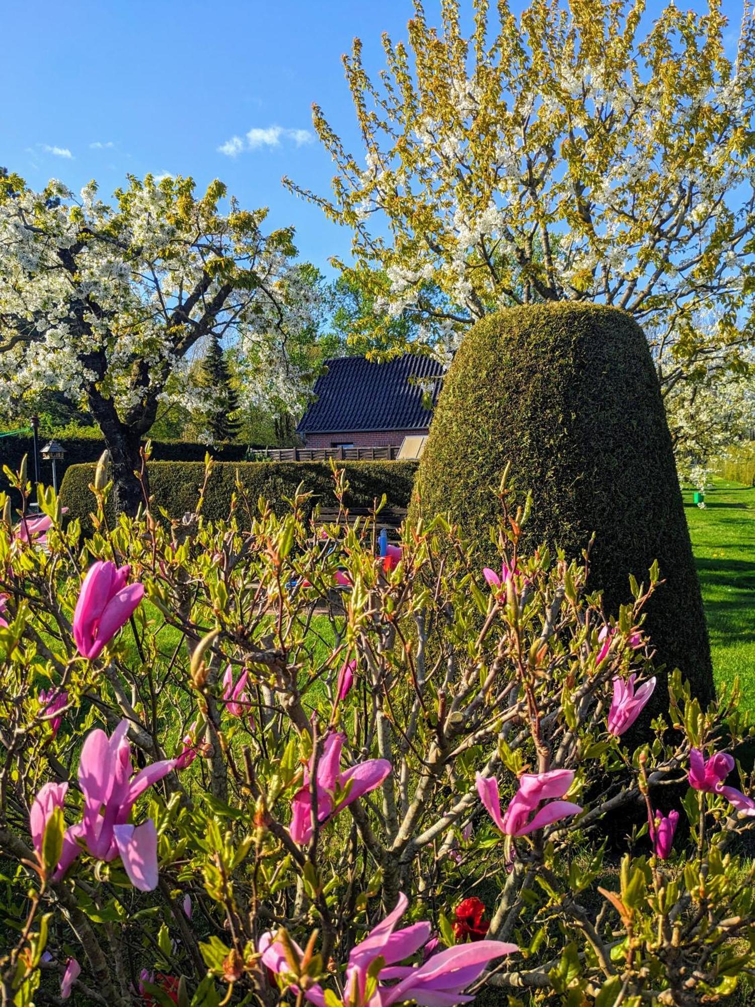 Haeuschen Im Gruenen Villa Jornstorf Eksteriør bilde