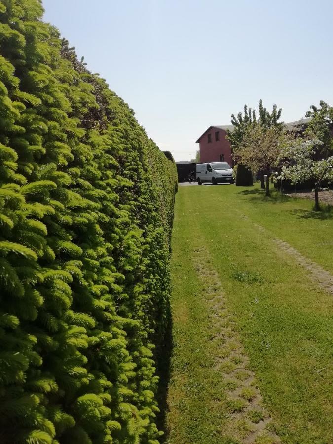 Haeuschen Im Gruenen Villa Jornstorf Eksteriør bilde